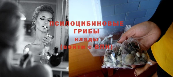амф Зеленодольск