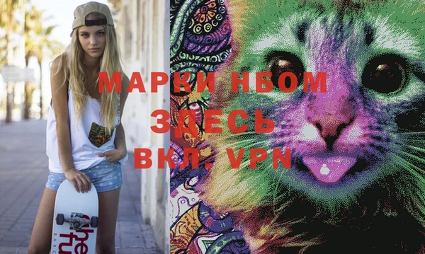 спиды Зерноград